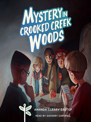 Mystery in Crooked Creek Woods - Audiobook